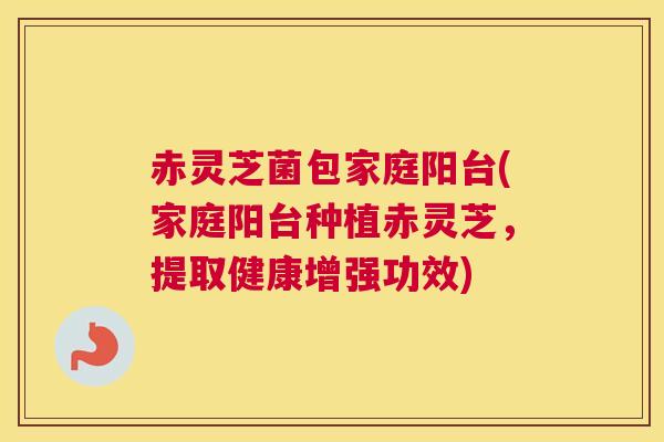 赤灵芝菌包家庭阳台(家庭阳台种植赤灵芝，提取健康增强功效)