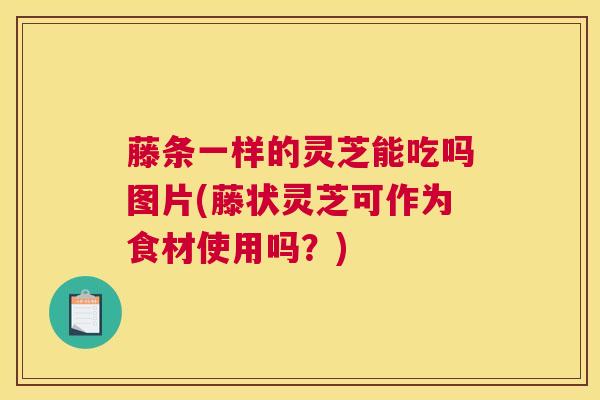 藤条一样的灵芝能吃吗图片(藤状灵芝可作为食材使用吗？)