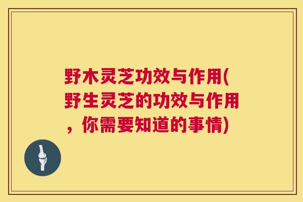 野木灵芝功效与作用(野生灵芝的功效与作用,你需要知道的事情) 野木灵芝功效与作用(野生灵芝的功效与作用,你需要知道的事情)