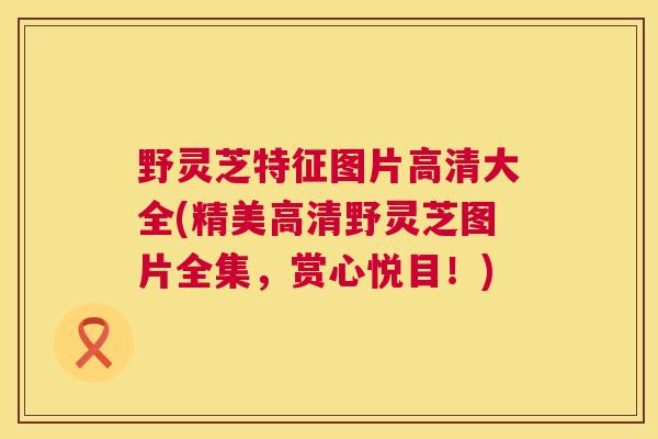 野灵芝特征图片高清大全(精美高清野灵芝图片全集，赏心悦目！)