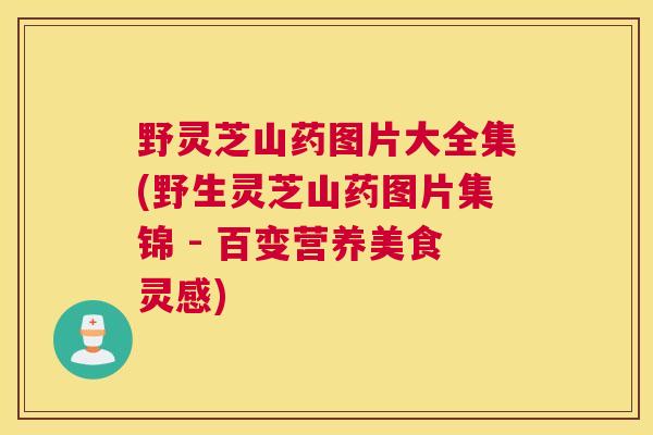 野灵芝山药图片大全集(野生灵芝山药图片集锦 - 百变营养美食灵感)