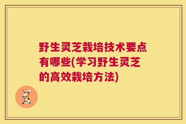 野生灵芝栽培技术要点有哪些(学习野生灵芝的高效栽培方法)