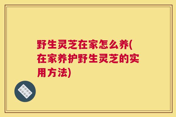 野生灵芝在家怎么养(在家养护野生灵芝的实用方法)
