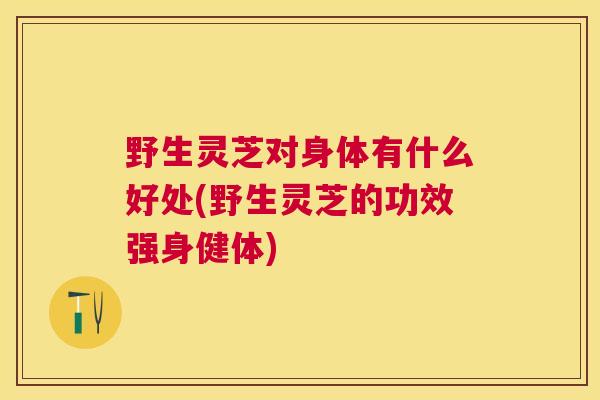 野生灵芝对身体有什么好处(野生灵芝的功效强身健体)