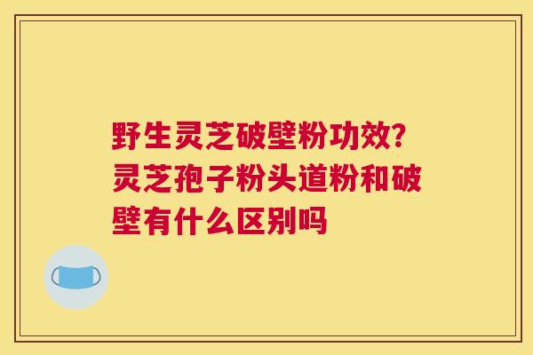 野生灵芝破壁粉功效？灵芝孢子粉头道粉和破壁有什么区别吗