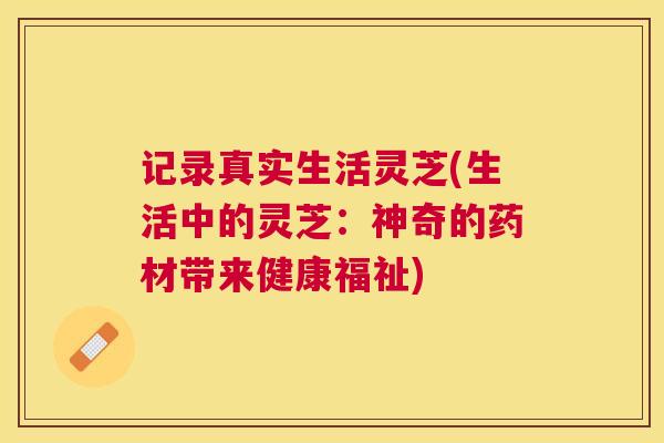 记录真实生活灵芝(生活中的灵芝：神奇的药材带来健康福祉)