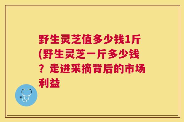 野生灵芝值多少钱1斤(野生灵芝一斤多少钱？走进采摘背后的市场利益