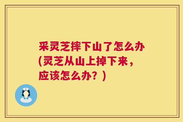 采灵芝摔下山了怎么办(灵芝从山上掉下来，应该怎么办？)