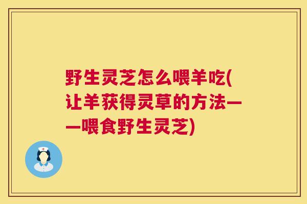 野生灵芝怎么喂羊吃(让羊获得灵草的方法——喂食野生灵芝)