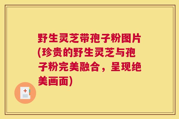 野生灵芝带孢子粉图片(珍贵的野生灵芝与孢子粉完美融合,呈现绝美画面) 野生灵芝带孢子粉图片(珍贵的野生灵芝与孢子粉完美融合,呈现绝美画面)