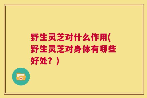 野生灵芝对什么作用(野生灵芝对身体有哪些好处？)