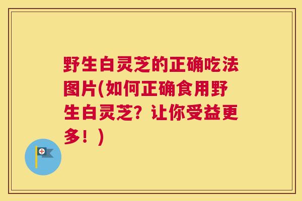 野生白灵芝的正确吃法图片(如何正确食用野生白灵芝？让你受益更多！)