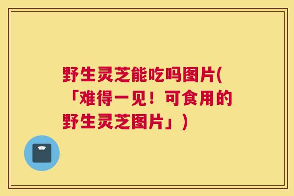 野生灵芝能吃吗图片(「难得一见！可食用的野生灵芝图片」)