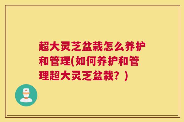 超大灵芝盆栽怎么养护和管理(如何养护和管理超大灵芝盆栽？)