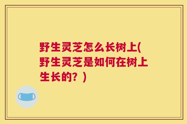 野生灵芝怎么长树上(野生灵芝是如何在树上生长的？)