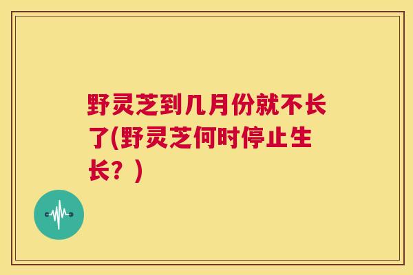 野灵芝到几月份就不长了(野灵芝何时停止生长？)