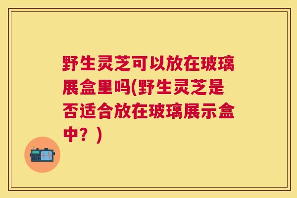 野生灵芝可以放在玻璃展盒里吗(野生灵芝是否适合放在玻璃展示盒中？)