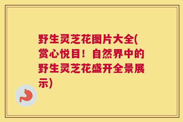 野生灵芝花图片大全(赏心悦目！自然界中的野生灵芝花盛开全景展示)