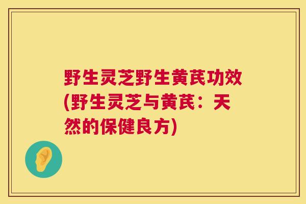 野生灵芝野生黄芪功效(野生灵芝与黄芪：天然的保健良方)