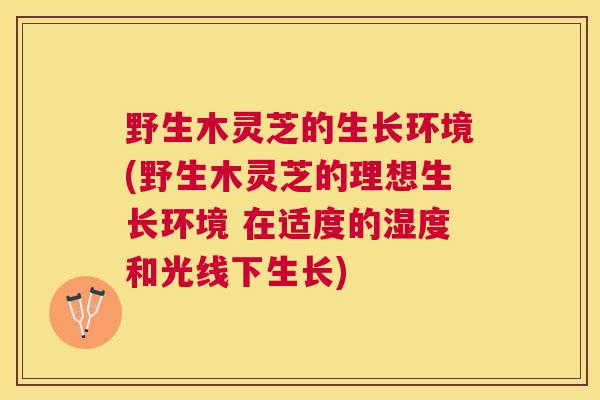 野生木灵芝的生长环境(野生木灵芝的理想生长环境 在适度的湿度和光线下生长)