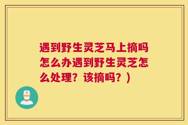 遇到野生灵芝马上摘吗怎么办遇到野生灵芝怎么处理？该摘吗？)
