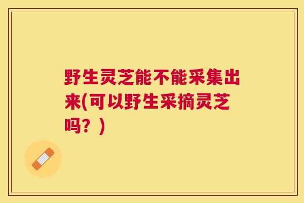 野生灵芝能不能采集出来(可以野生采摘灵芝吗?) 野生灵芝能不能采集出来(可以野生采摘灵芝吗?)