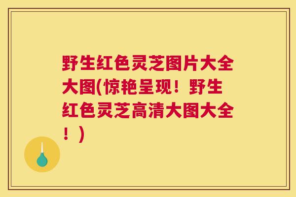 野生红色灵芝图片大全大图(惊艳呈现！野生红色灵芝高清大图大全！)
