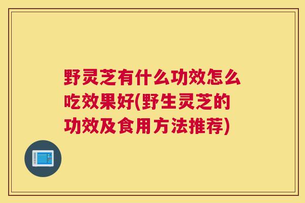野灵芝有什么功效怎么吃效果好(野生灵芝的功效及食用方法推荐)