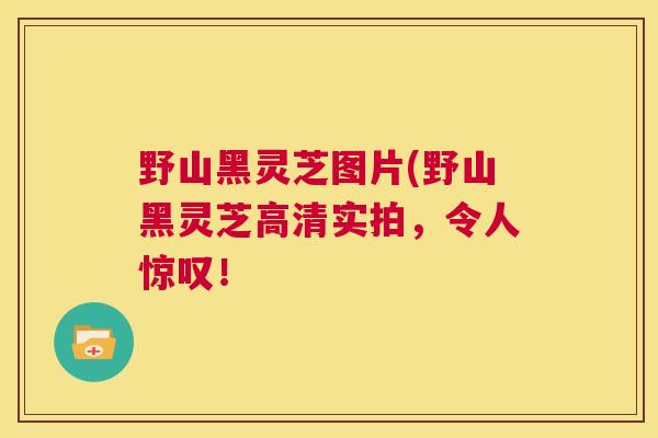 野山黑灵芝图片(野山黑灵芝高清实拍，令人惊叹！