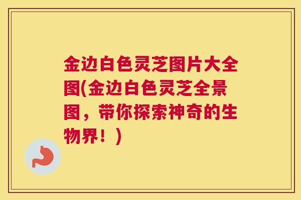 金边白色灵芝图片大全图(金边白色灵芝全景图，带你探索神奇的生物界！)