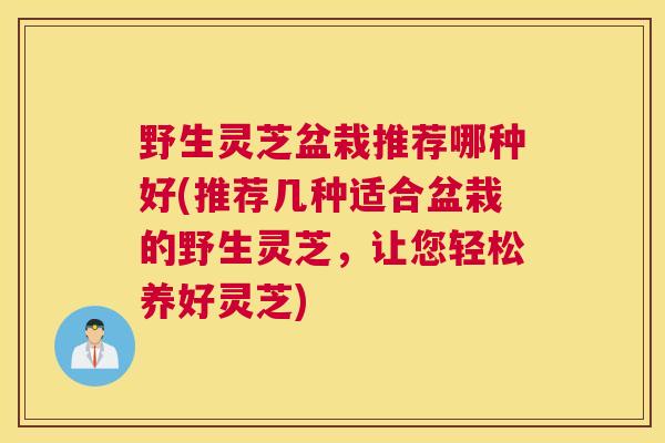 野生灵芝盆栽推荐哪种好(推荐几种适合盆栽的野生灵芝，让您轻松养好灵芝)