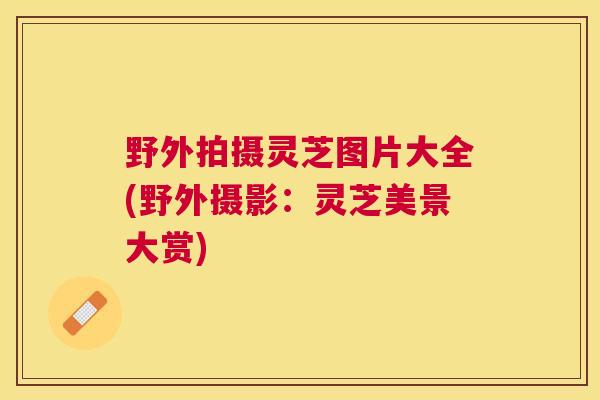 野外拍摄灵芝图片大全(野外摄影：灵芝美景大赏)