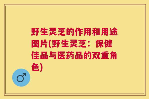 野生灵芝的作用和用途图片(野生灵芝：保健佳品与医药品的双重角色)