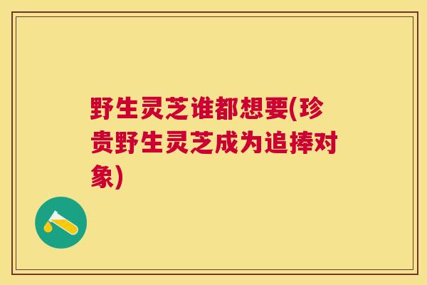 野生灵芝谁都想要(珍贵野生灵芝成为追捧对象)