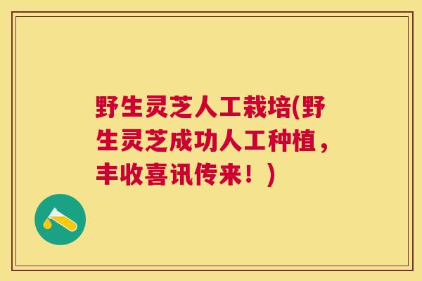 野生灵芝人工栽培(野生灵芝成功人工种植，丰收喜讯传来！)