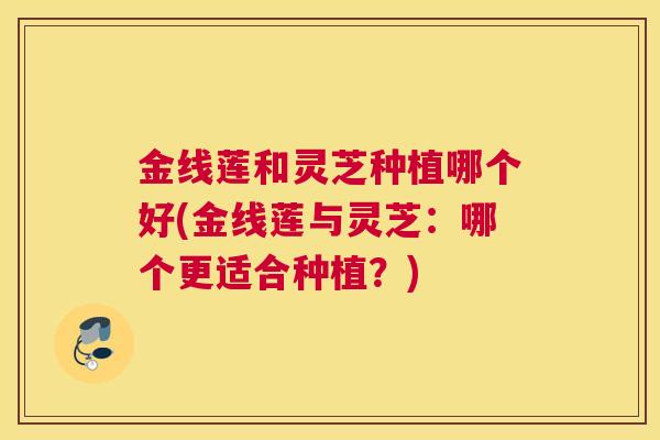 金线莲和灵芝种植哪个好(金线莲与灵芝：哪个更适合种植？)