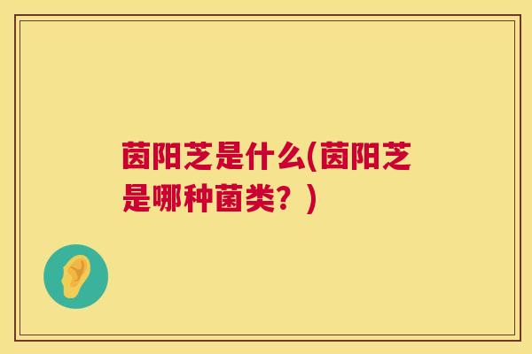 茵阳芝是什么(茵阳芝是哪种菌类？)