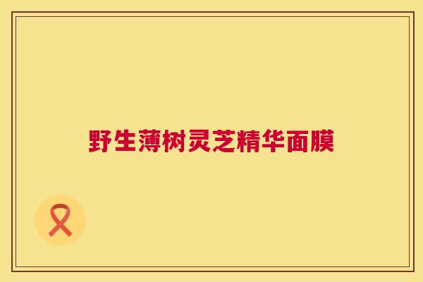 野生薄树灵芝精华面膜