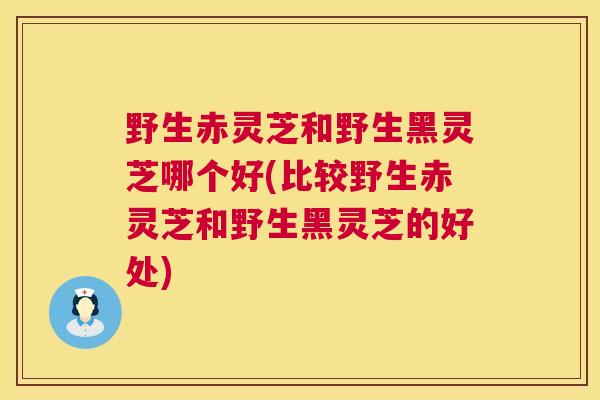 野生赤灵芝和野生黑灵芝哪个好(比较野生赤灵芝和野生黑灵芝的好处)