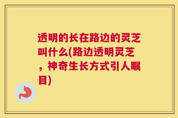 透明的长在路边的灵芝叫什么(路边透明灵芝,神奇生长方式引人瞩目) 透明的长在路边的灵芝叫什么(路边透明灵芝,神奇生长方式引人瞩目)