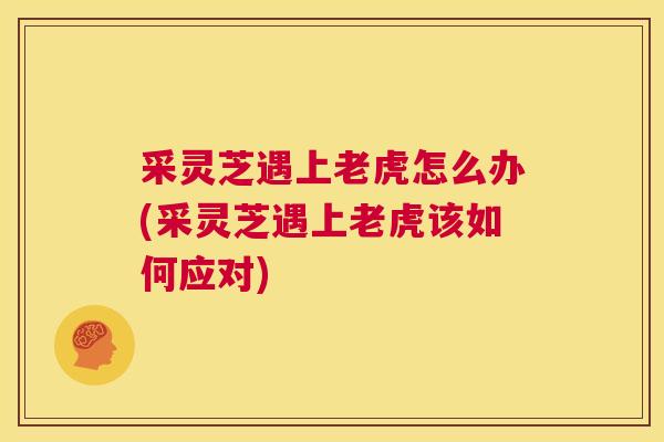 采灵芝遇上老虎怎么办(采灵芝遇上老虎该如何应对)