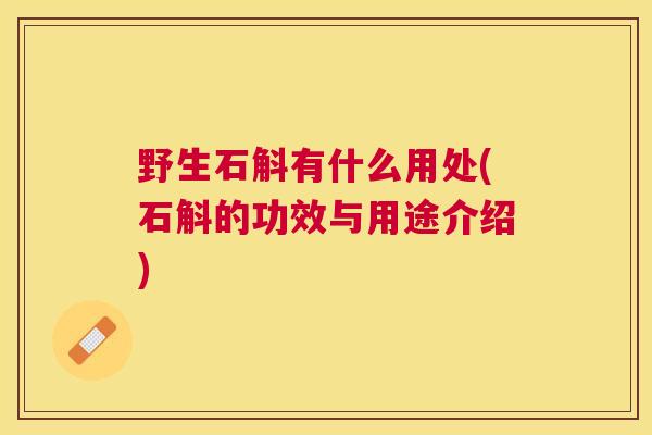 野生石斛有什么用处(石斛的功效与用途介绍)