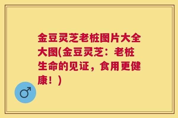 金豆灵芝老桩图片大全大图(金豆灵芝：老桩生命的见证，食用更健康！)