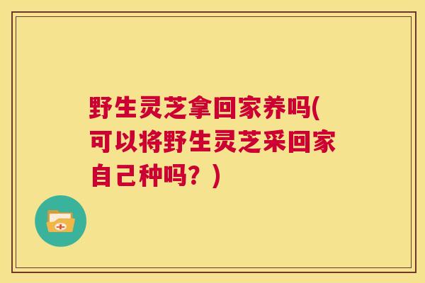 野生灵芝拿回家养吗(可以将野生灵芝采回家自己种吗？)