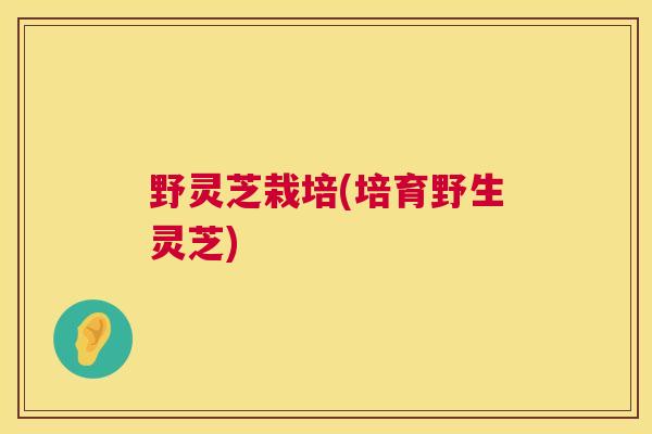 野灵芝栽培(培育野生灵芝)