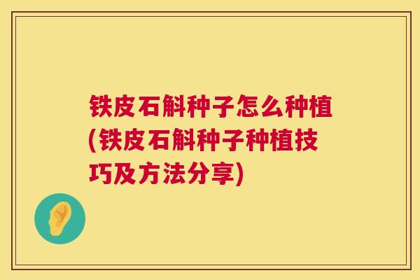 铁皮石斛种子怎么种植(铁皮石斛种子种植技巧及方法分享)