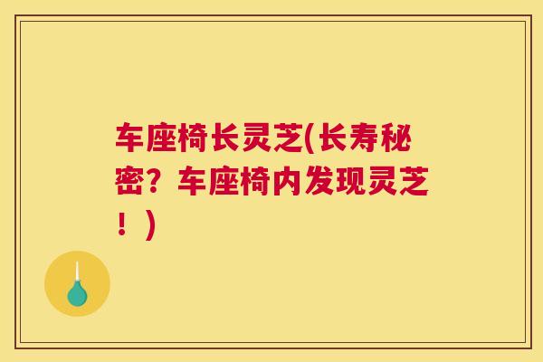 车座椅长灵芝(长寿秘密？车座椅内发现灵芝！)