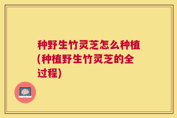 种野生竹灵芝怎么种植(种植野生竹灵芝的全过程) 种野生竹灵芝怎么种植(种植野生竹灵芝的全过程)