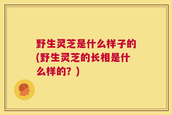野生灵芝是什么样子的(野生灵芝的长相是什么样的？)