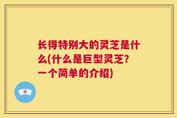 长得特别大的灵芝是什么(什么是巨型灵芝?一个简单的介绍)